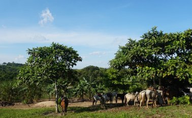Desde el inicio del gobierno de Iván Duque se han aprobado $117 mil 913 millones para Norte de Santander. Cortesía