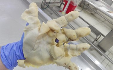 En el último año han obtenido muy buenos resultados en seis casos. Cortesía