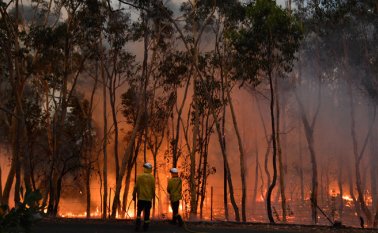 “Hay probablemente más de ocho incendios en total” dijo Rob Rogers, subinspector del servicio rural de incendios de Nueva Gales del Sur, agregando que se estaba formando lo que llamaron un “megafuego” en un área de un parque nacional. AFP