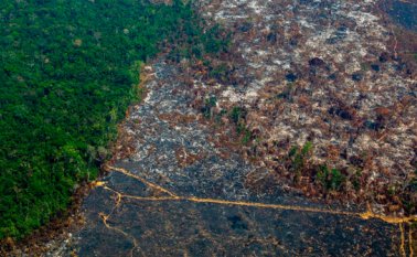 El panorama dado a conocer por el Instituto de Investigaciones Espaciales, pone la lupa sobre la alarmante pérdida de cobertura vegetal. AFP