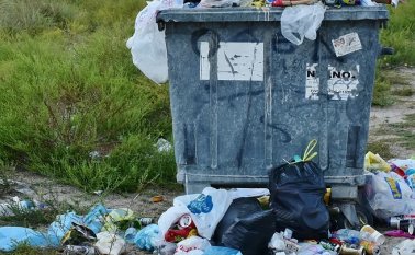 De las 100 salpas que Brandon encuestó a partir de muestras de agua recolectadas en 2009, 2013, 2014, 2015 y 2017, el 100 por ciento tenía mini-microplásticos en sus intestinos. Pixabay