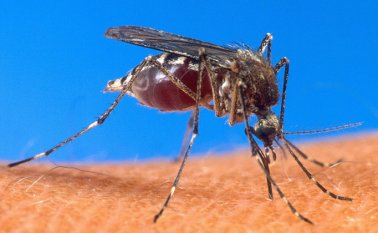 El Ministerio de Salud invertirán 9,6 millones de dólares en el programa, de los cuales 2,4 millones son de una donación y el resto es cofinanciado.
 Archivo