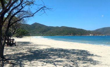 La Embajada de Argentina adelanta los trámites para la repatriación del cuerpo. Colprensa