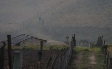 El Ministerio de Agricultura harán una reprogramación de los créditos. Colprensa