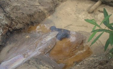 Imagen referencial. Colprensa Archivo