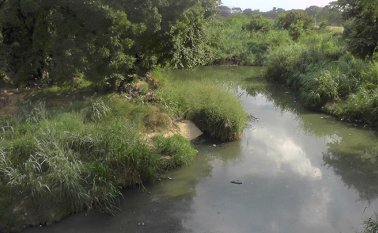 Rayner Lizarazo/La Opinión