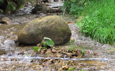 Roberto Ospina/La Opinión