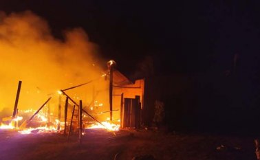 Incluso las gallinas y los marranos que yacían en el corral al lado de la vivienda también fueron víctima de las llamas. Cortesía