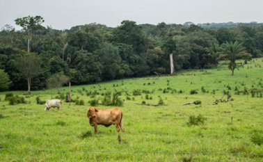 Foto: Rutas del Conflicto
