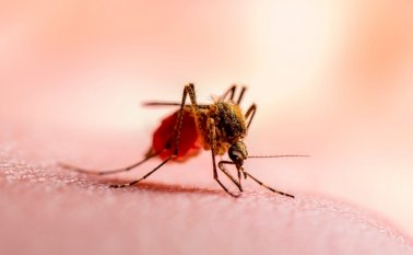 Médicos Sin Fronteras alertó sobre el desbordado aumento de casos. Archivo