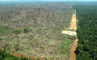 Perú lanzó en 2002 el programa de concesiones forestales, que abarcó 10 millones de hectáreas, pero no ha dado los resultados esperados. AFP
