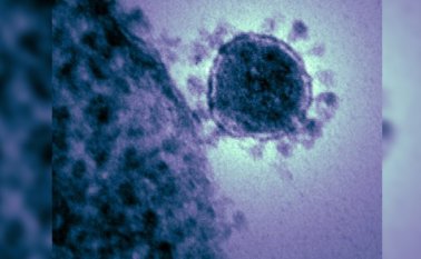 En total hay catorce connacionales en Wuhan. Colprensa