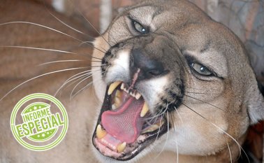 Foto: Archivo La Opinión