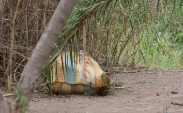 El mal olor generó una alarma entre los habitantes de esa zona. Alfredo Estévez