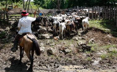 Las dos zonas de alta vigilancia son la zona de frontera norte y la frontera oriental conformada por los departamentos de Arauca, Vichada y el municipio de Cubará en el departamento de Boyacá. Archivo