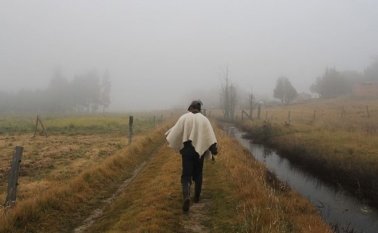 Heladas en la vereda San Rafael de Cómbita Boyacá. Colprensa