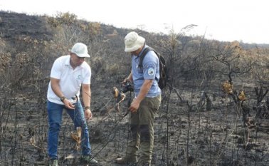 Funcionarios de Cormacarena inspeccionan los sitios de los incendios para evaluar el daño ambiental. Colprensa