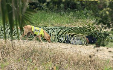 En el sitio, los expertos procedieron a mover los cadáveres con lazos desde la distancia para descartar que estuvieran cargados con explosivos. Juan Pablo Cohen La Opinión