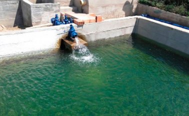 Agua Potable Cortesía