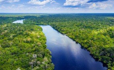 Región del Amazonas. Colprensa