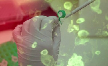 Genoma Coronavirus  Colprensa