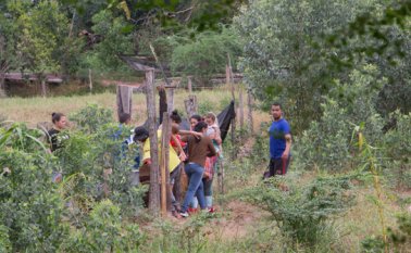Luis Alfredo Estévez