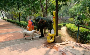 Estos comederos se han instalado en el Teatro de Atalaya, Parque Mercedes Ábrego, Estadio General Santander, Parque San Rafael, Parque San Luis, Peaje Los Acacios y en el CAI Ambiental (El Malecón). Cortesía