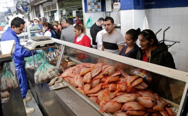 Venta de pescado. Colprensa