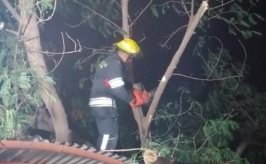 Los fuertes vientos que soplaron durante la noche del lunes produjeron el derrumbamiento de dos árboles que cayeron en igual número de vivienda en los barrios 28 de Febrero y La Hermita.
Cortesía