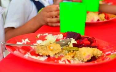 PAE en Cúcuta. La Opinión