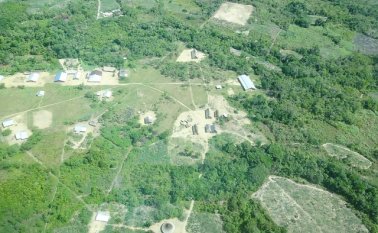 Cuatro departamentos del sur del país son los mayores núcleos de deforestación Colprensa