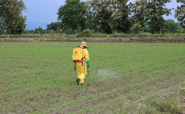 La escasa conectividad de las zonas rurales restringe la oportunidad de participar. Colprensa.