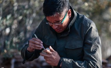 El biólogo realiza actualmente su doctorado en la Colección Nacional de Arácnidos de la UNAM. Foto: Luis Gutiérrez/Norte Photo.
