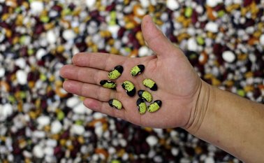 Se establecen nuevas medidas para el sector. Colprensa