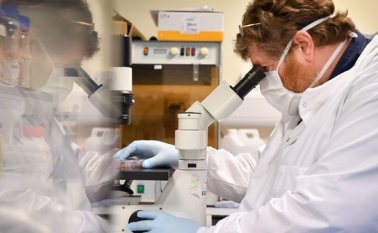 Según la OMS, Oxford es uno de los ocho proyectos que ya se encuentra en la etapa de ensayos clínicos con humanos. AFP