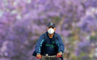 Mensajes difundidos por redes sociales afirman que, incluso su utilización provoca “intoxicación por inhalación del propio CO2”. Colprensa.