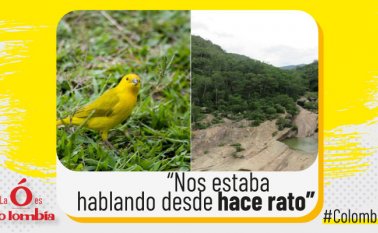 Los sectores turísticos se han visto beneficiados, según los expertos, durante este cuarentena pues se han podido recuperar naturalmente. La Opinión