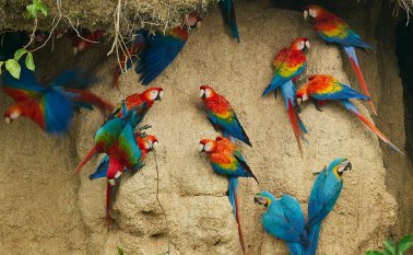 ‘Siete mundos, un planeta’ se podrá ver por Discovery a partir del 5 junio a las ocho de la noche. Colprensa.