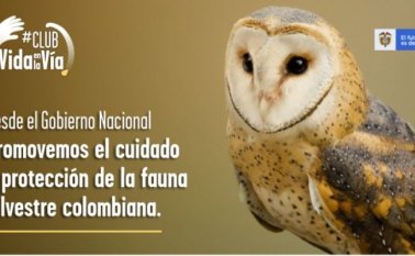 La campaña busca llamar la atención de todos los colombianos para que ayuden a divulgar el mensaje de cuidado y preservación de especies silvestres. Colprensa.
