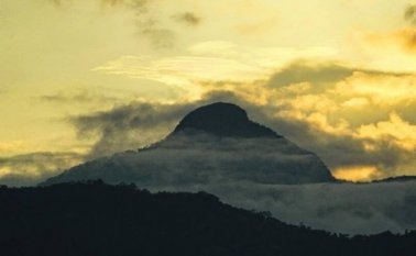 Hubo una reducción del 17 % en la contaminación global por CO2 (dióxido de carbono). Colprensa.