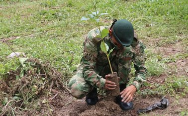 Una brigada de reforestación se emprende para recuperar las fuentes hídricas. Cortesía