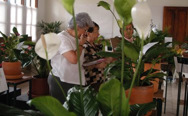 Los estudiantes adquirirán conocimientos básicos sobre botánica, clima, suelo, paisajismo, entre otras disciplinas.  Archivo / La Opinión