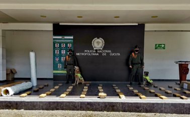 Dos canes detectaron la droga camuflada en tres cajas. Policía Nacional