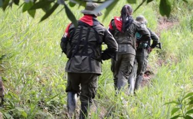 “De pactarse este cese bilateral, se crearía un clima de distensión humanitaria, favorable para reiniciar los Diálogos de Paz entre el Gobierno colombiano y el Eln”, señala el grupo. Archivo