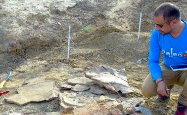 Universidad del Rosario