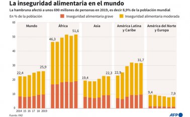 El número de personas que padecen hambre aumentó en 10 millones de personas en un año y en 60 millones en los últimos cinco años. AFP