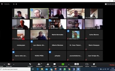 Sala plena virtual del consejo de Estado. Colprensa