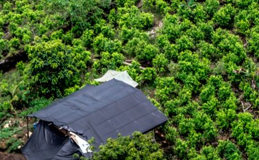 A juicio de la Human, las investigaciones demuestran que los grupos armados informaron a las poblaciones locales que estaban imponiendo reglas para evitar la propagación del Covid-19.  Archivo