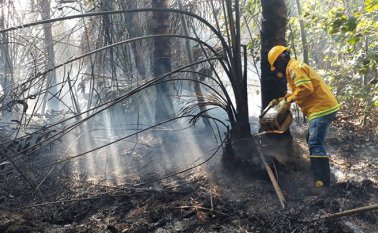 Líderes ambientales. Colprensa