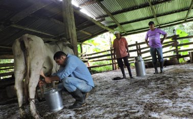 Las familias beneficiadas están en el proceso de postulación de los predios, que deberán cumplir con los requisitos jurídicos para ser comprados por la ANT. Cortesía